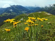 62 Vista sul Rif. Capanna 2000, l'Alben e la conca di Oltre il Colle